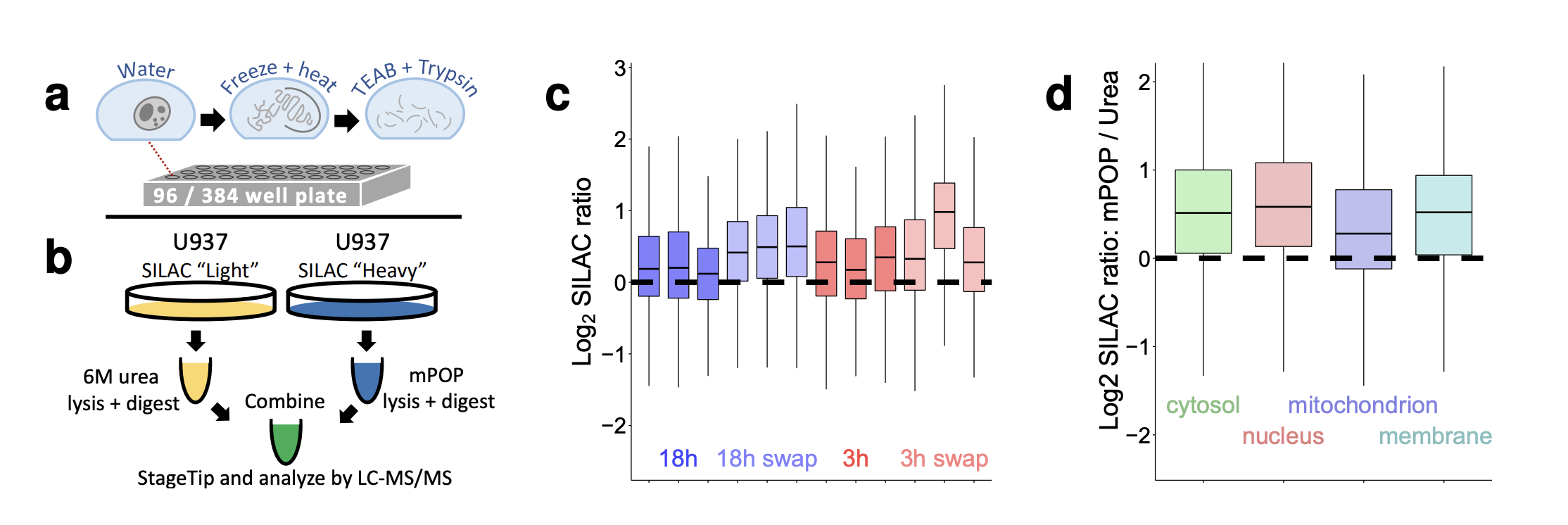 Minimal ProteOmic sample Preparation (mPOP) method for single-cell proteomics