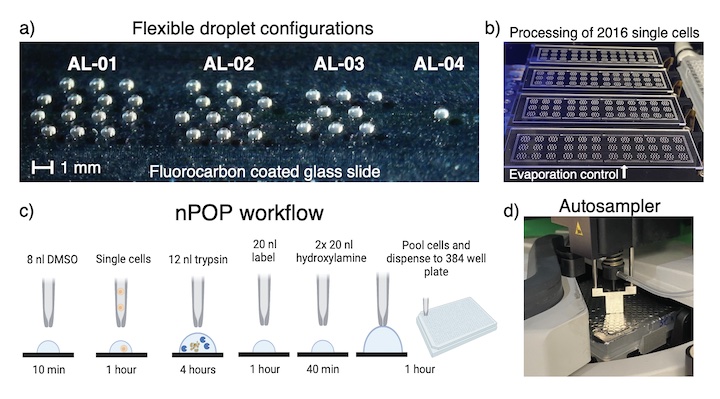 nano-ProteOmic droplet sample Preparation (nPOP) method for single-cell proteomics by mass-spectrometry
