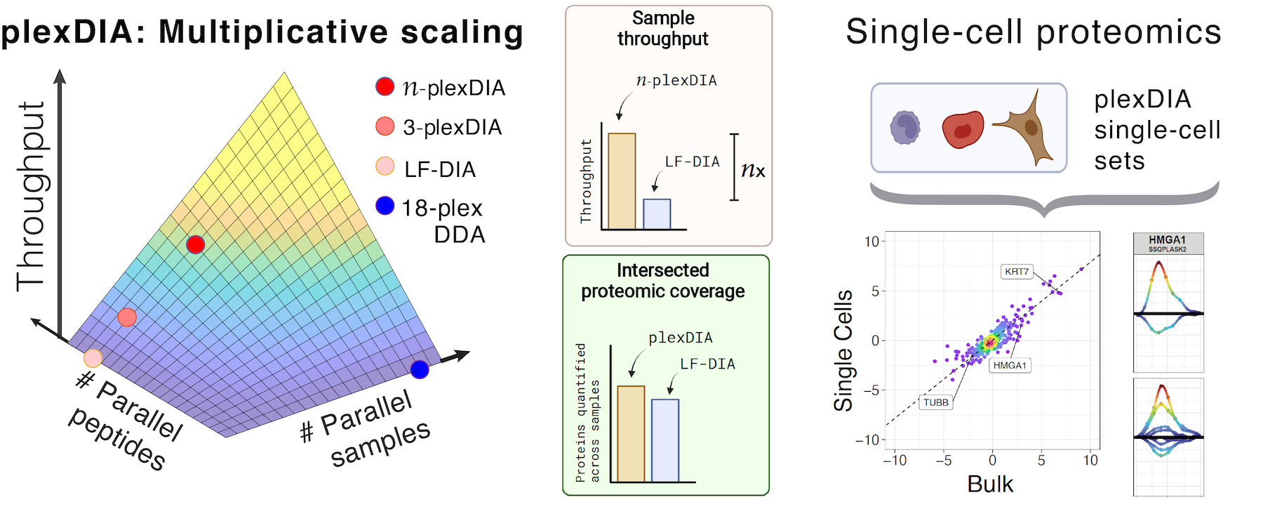 plexDIA: Multiplexed data-independent acquisition for increasing proteomics throughput