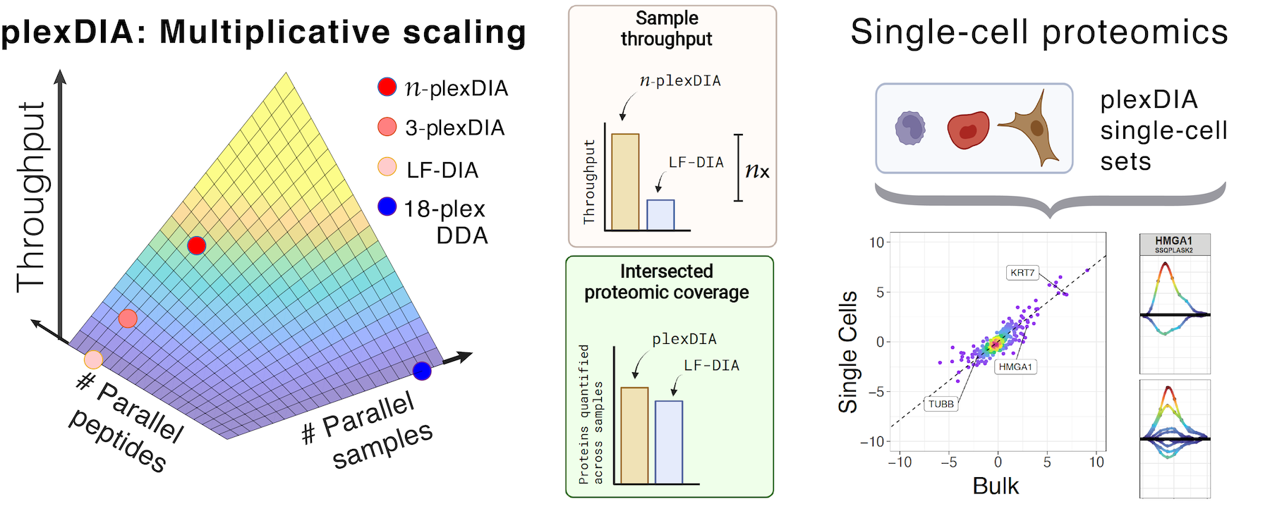 Single Cell ProtEomics by plexDIA